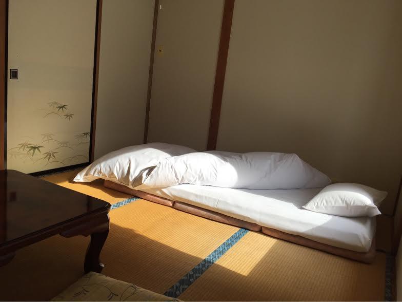 Maison de Sasagawa Hakuba Extérieur photo
